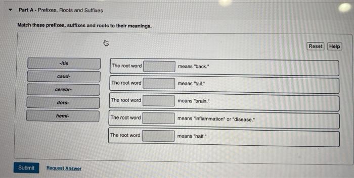 Match these prefixes to their meanings