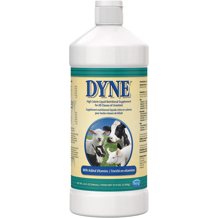 Dyne 16oz