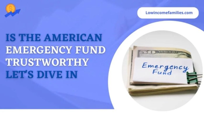 Is american emergency fund loan legit