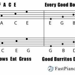 All cows eat grass bass clef