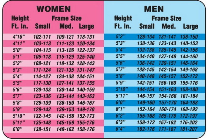 Transamerica height and weight chart