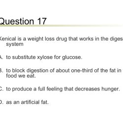 Chapter 10 nutrition for health answer key