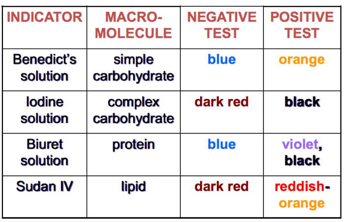 Macromolecule testing lab answer key