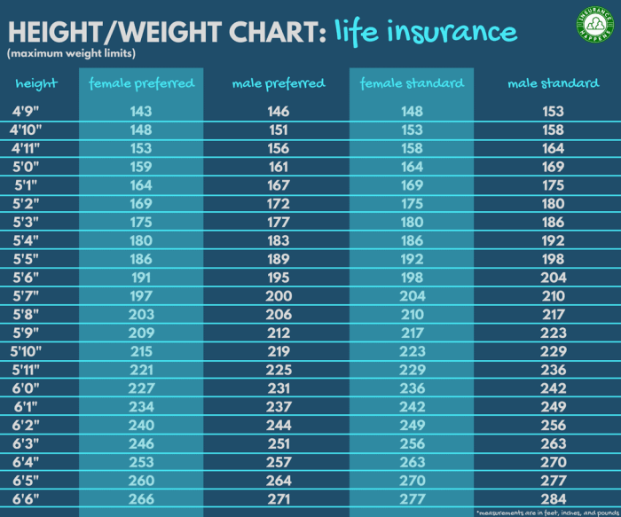 Transamerica height and weight chart