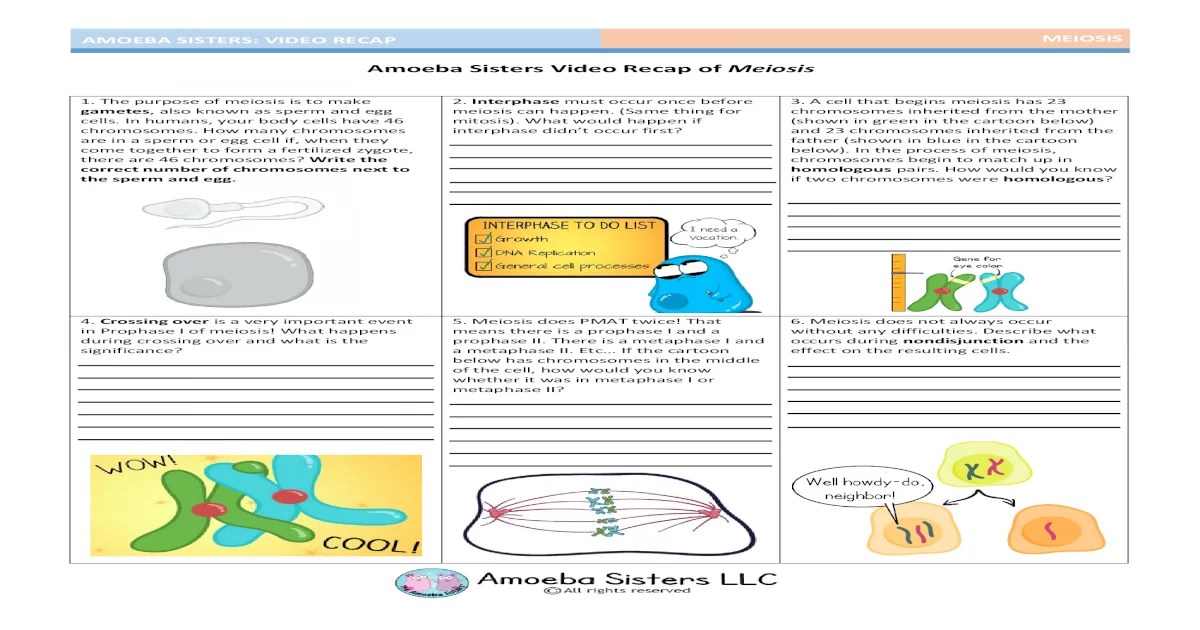 Amoeba sisters video recap of meiosis answer key